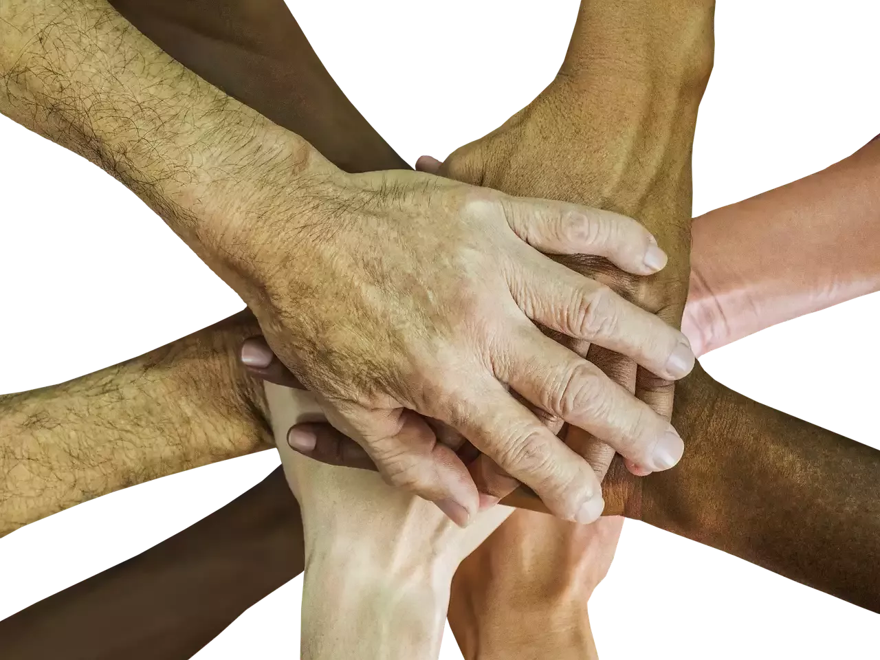 כיצד ליצור שותפויות מוצלחות של משפיענים