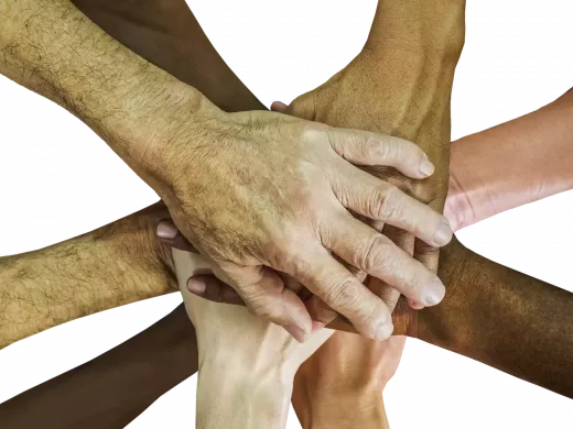 כיצד ליצור שותפויות מוצלחות של משפיענים